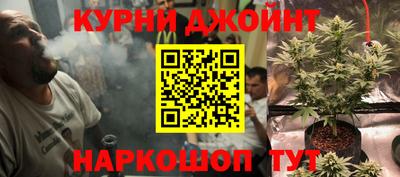 apvp Камышлов