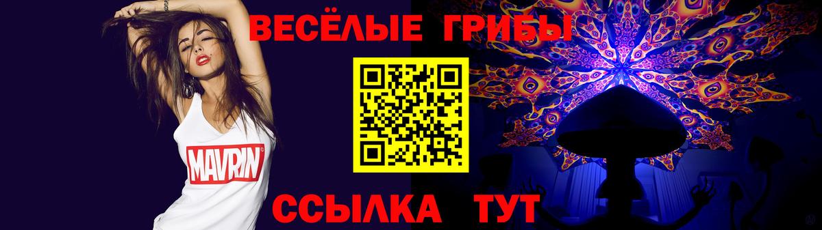 Химки  Псилоцибиновые грибы мухоморы  Псилоцибиновые грибы Psilocybe  Вход с VPN 